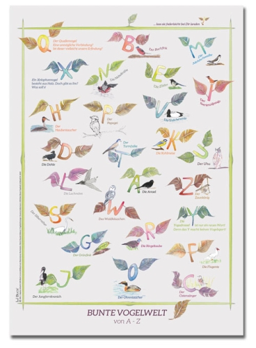 1001 Buch Poster A2 - Bunte Vogelwelt von A-Z